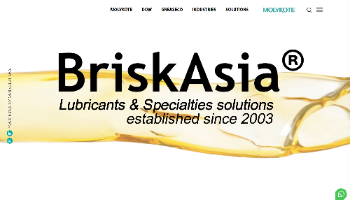 Brisk Asia website, a web design Malaysia portfolio project
