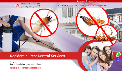 Elite Pest website, a web design Malaysia portfolio project