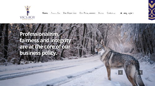 Viceroy PW website, a web design Malaysia portfolio project