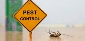 pest control johor bahru